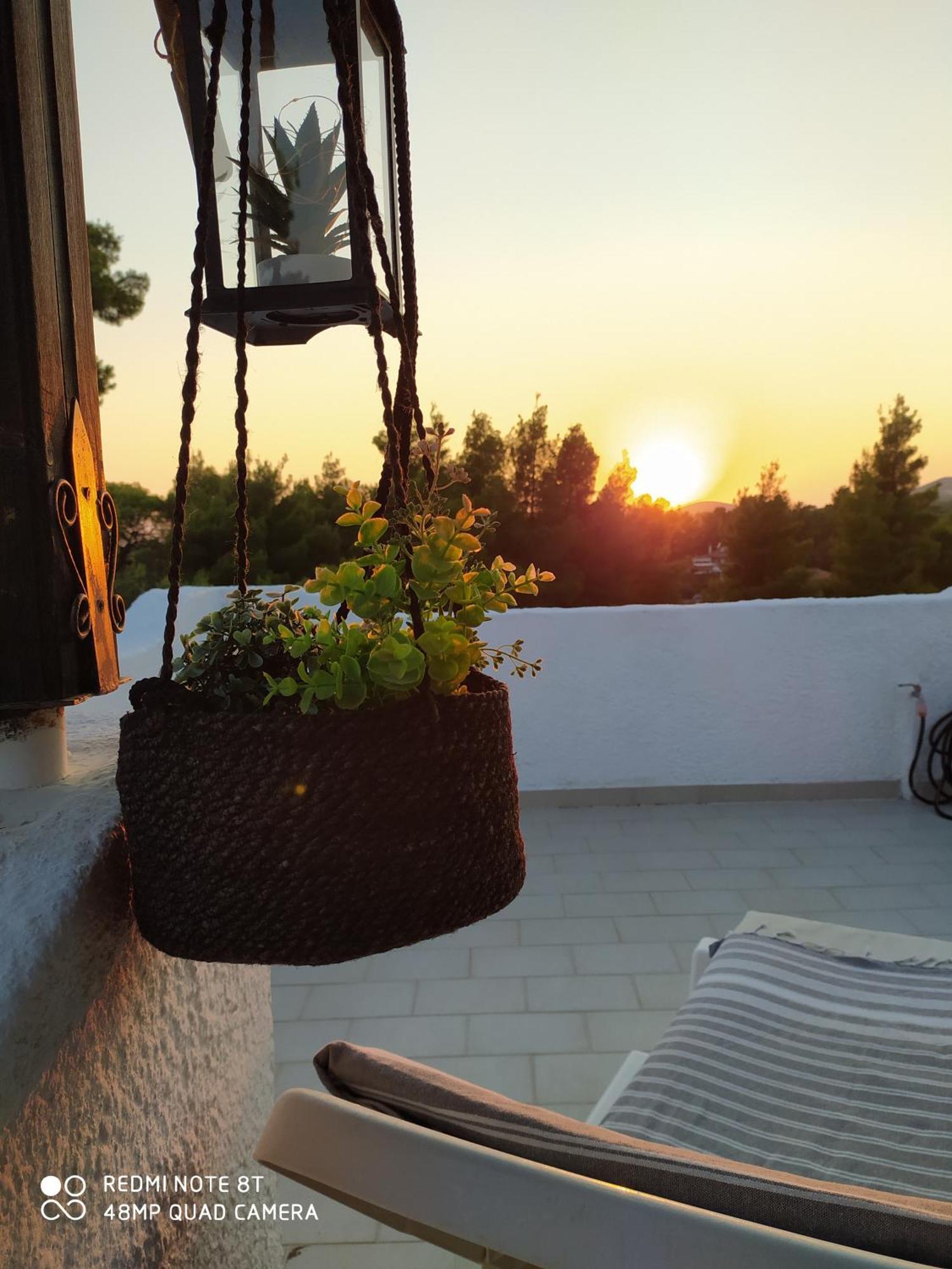 Apartmán Ta Pefka Nikiti  Exteriér fotografie